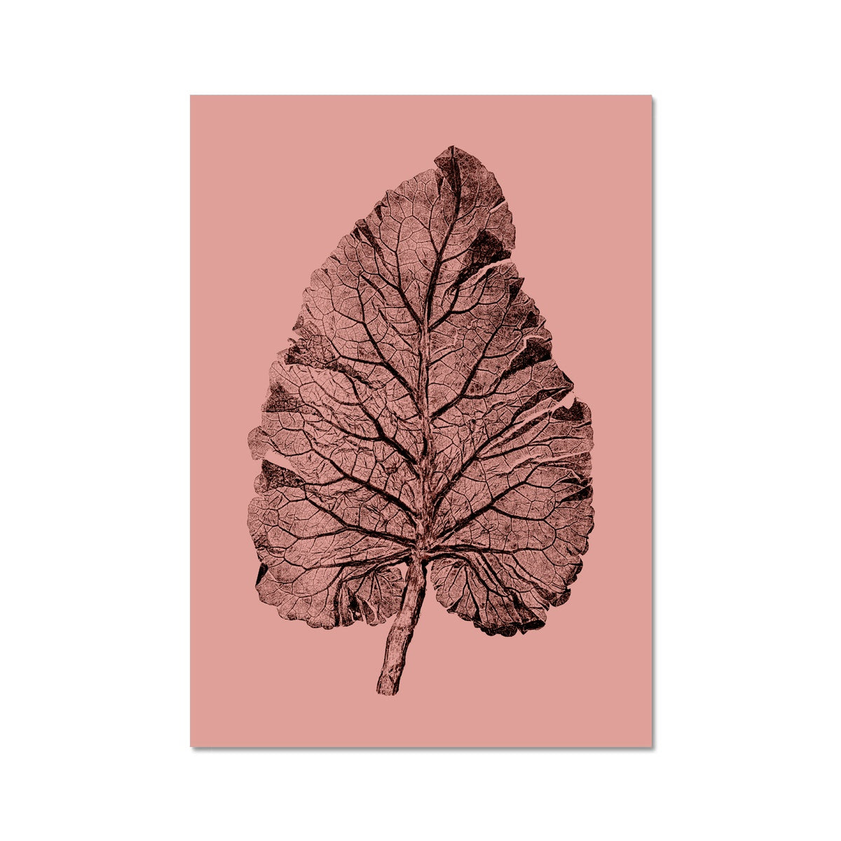 Burdock Leaf Pink Fine Art Print
