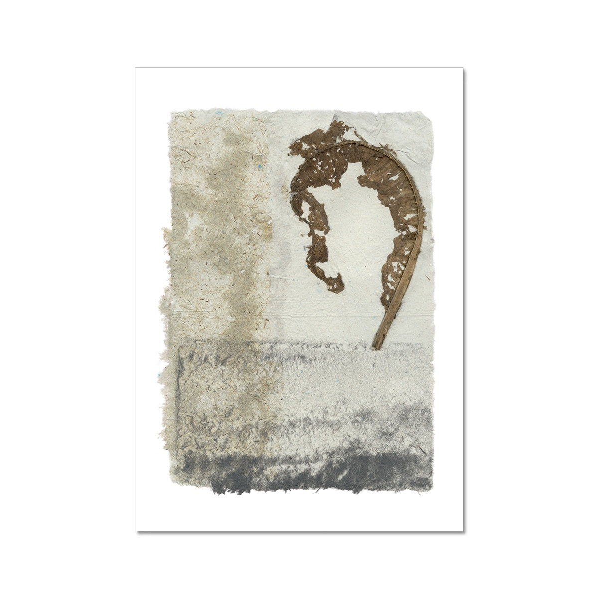 Botanical- Teasel Leaf Fine Art Print