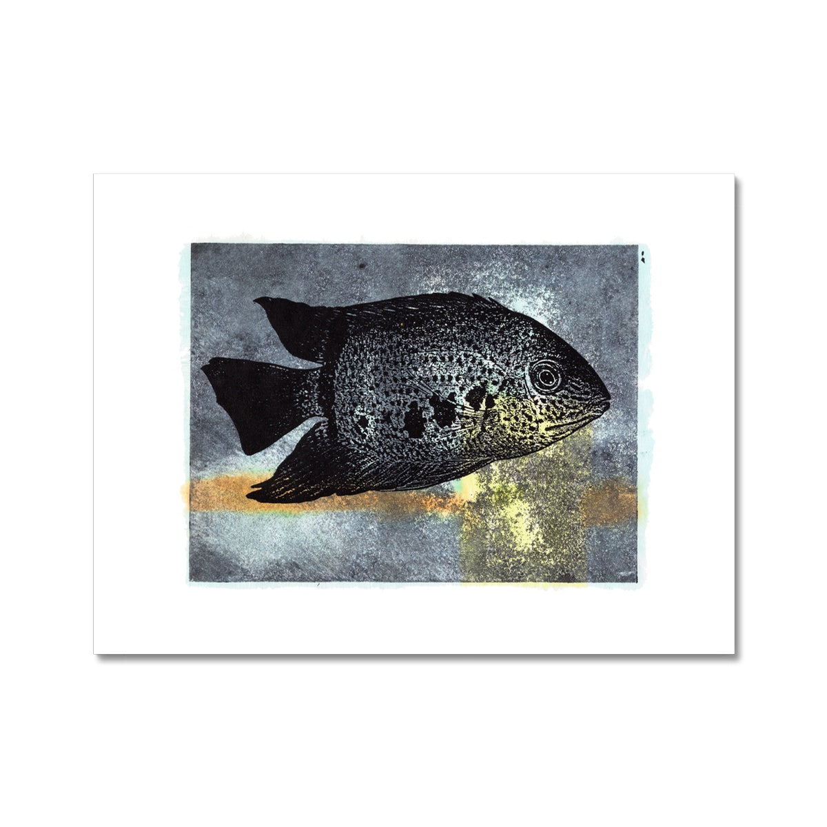 Fish- Single Orange & Yellow Cyclid Fine Art Print