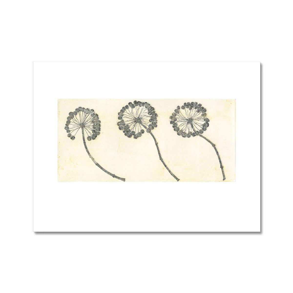 Botanical- Three Flowering Ivy Fine Art Print
