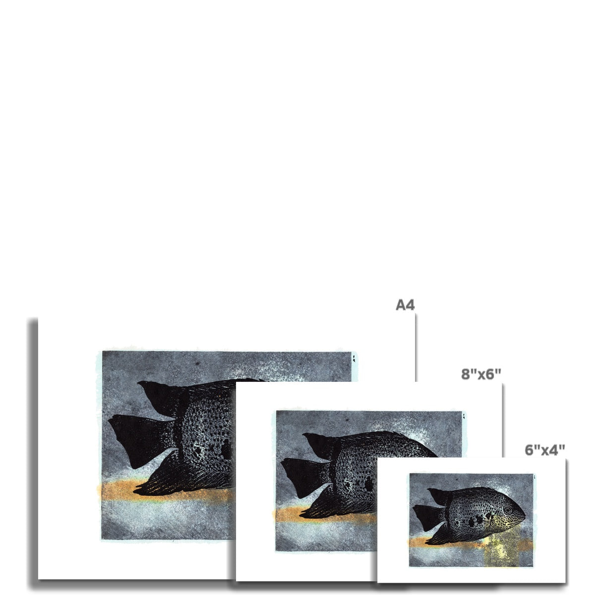 Fish- Single Orange & Yellow Cyclid Fine Art Print