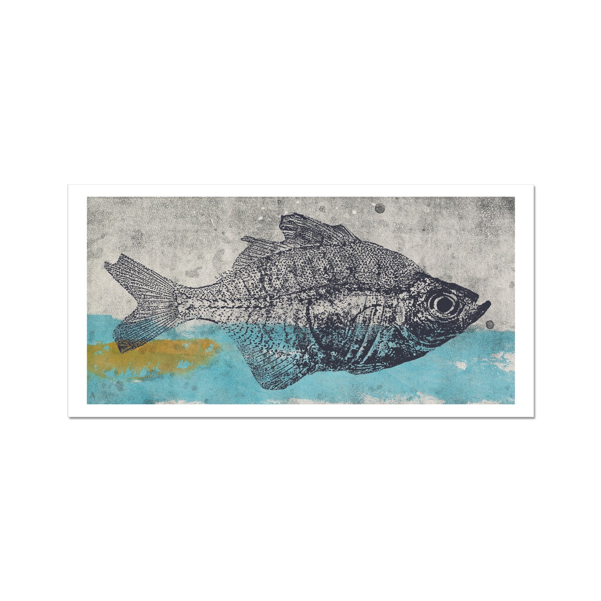Fish- Blue & Yellow Fish Tank- Single Fish Fine Art Print