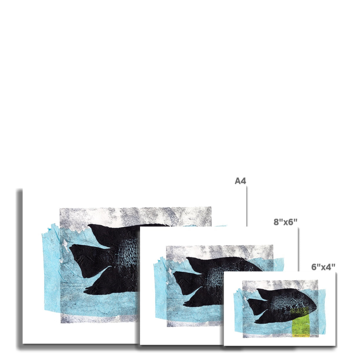 Fish- Single Cyclid Fine Art Print