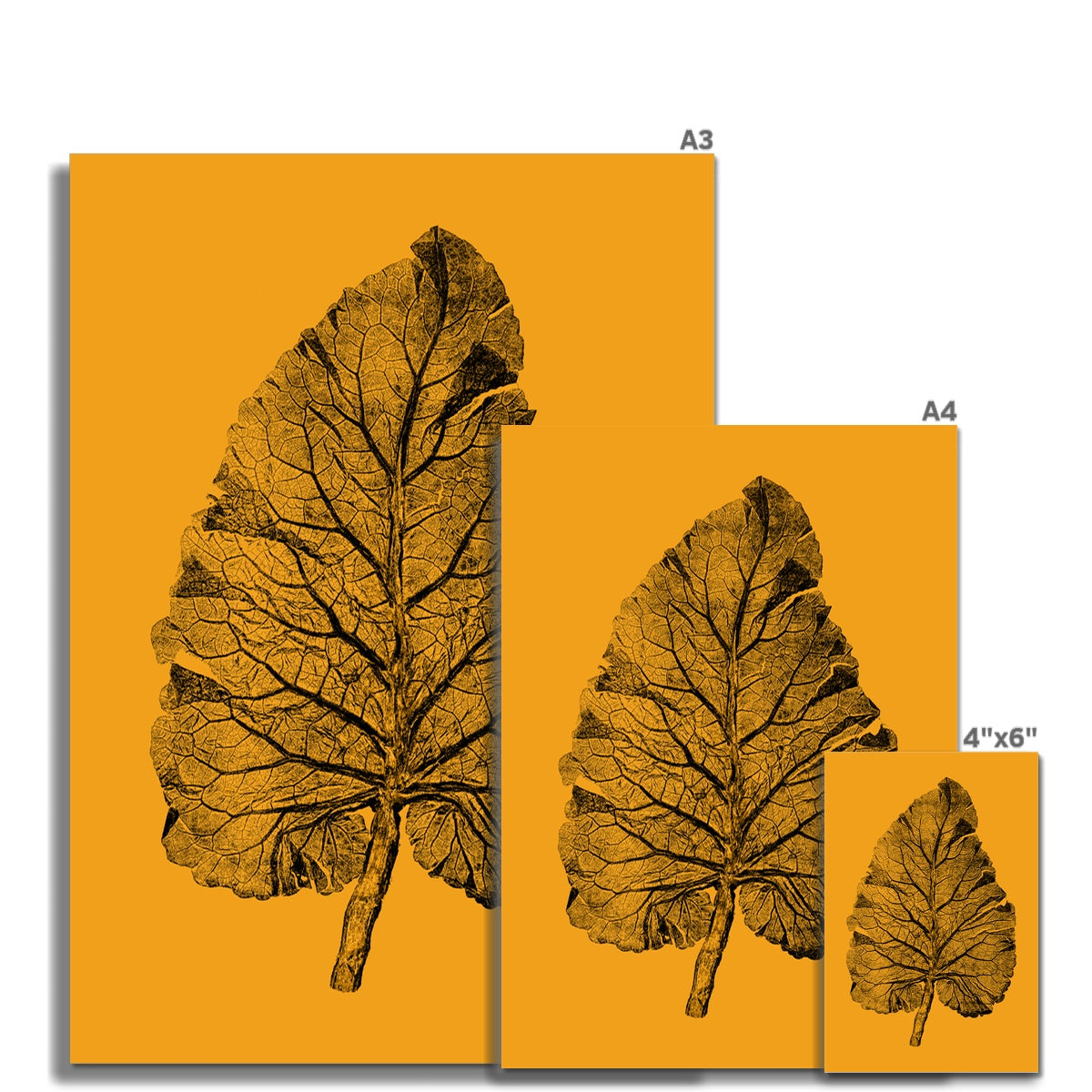 Burdock Leaf Ochre Fine Art Print