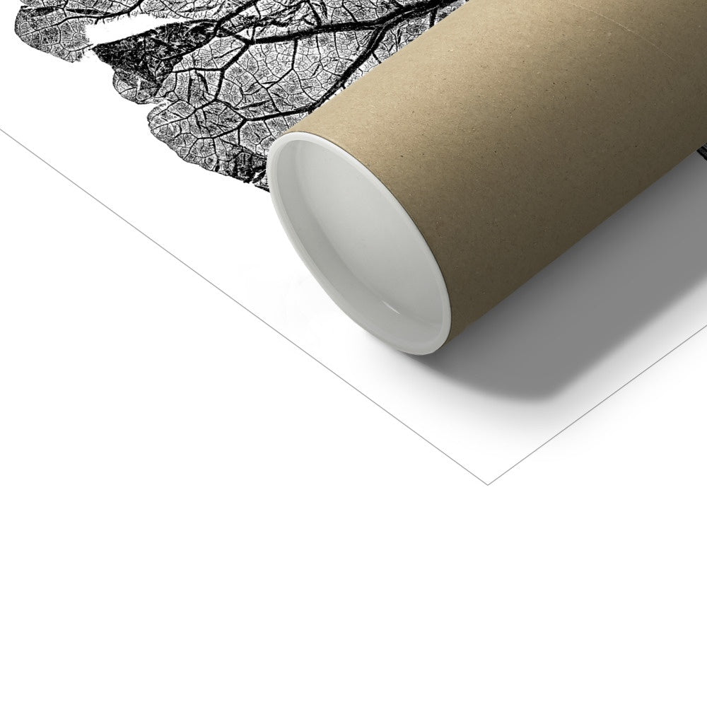 Burdock White Fine Art Print