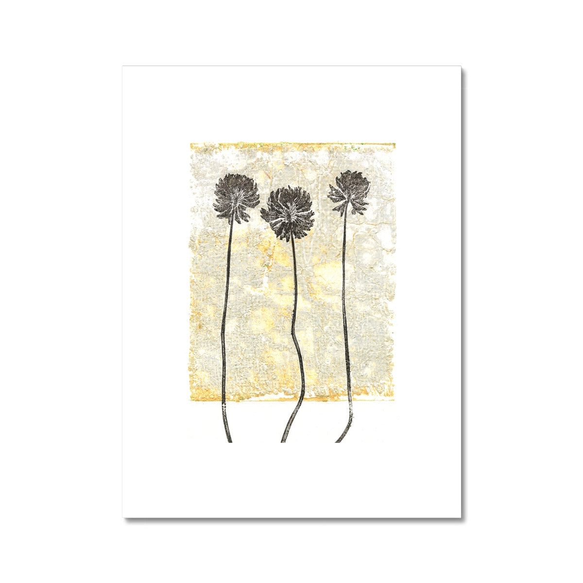 Botanical- Three Clovers Fine Art Print