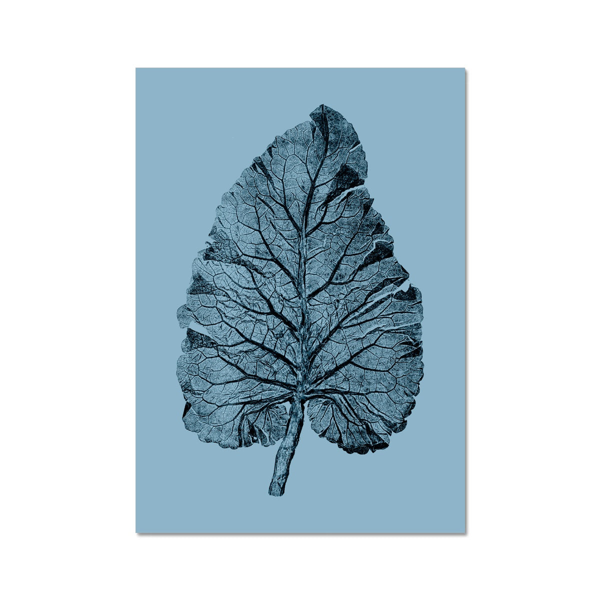 Burdock Blue Fine Art Print