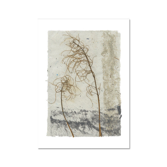 Botanical- Rosebay Willow Herb Fine Art Print